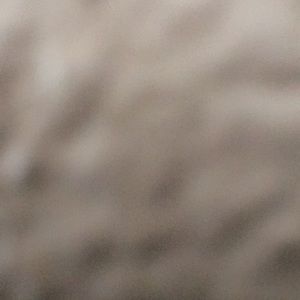 Meet your Posher, Raylene